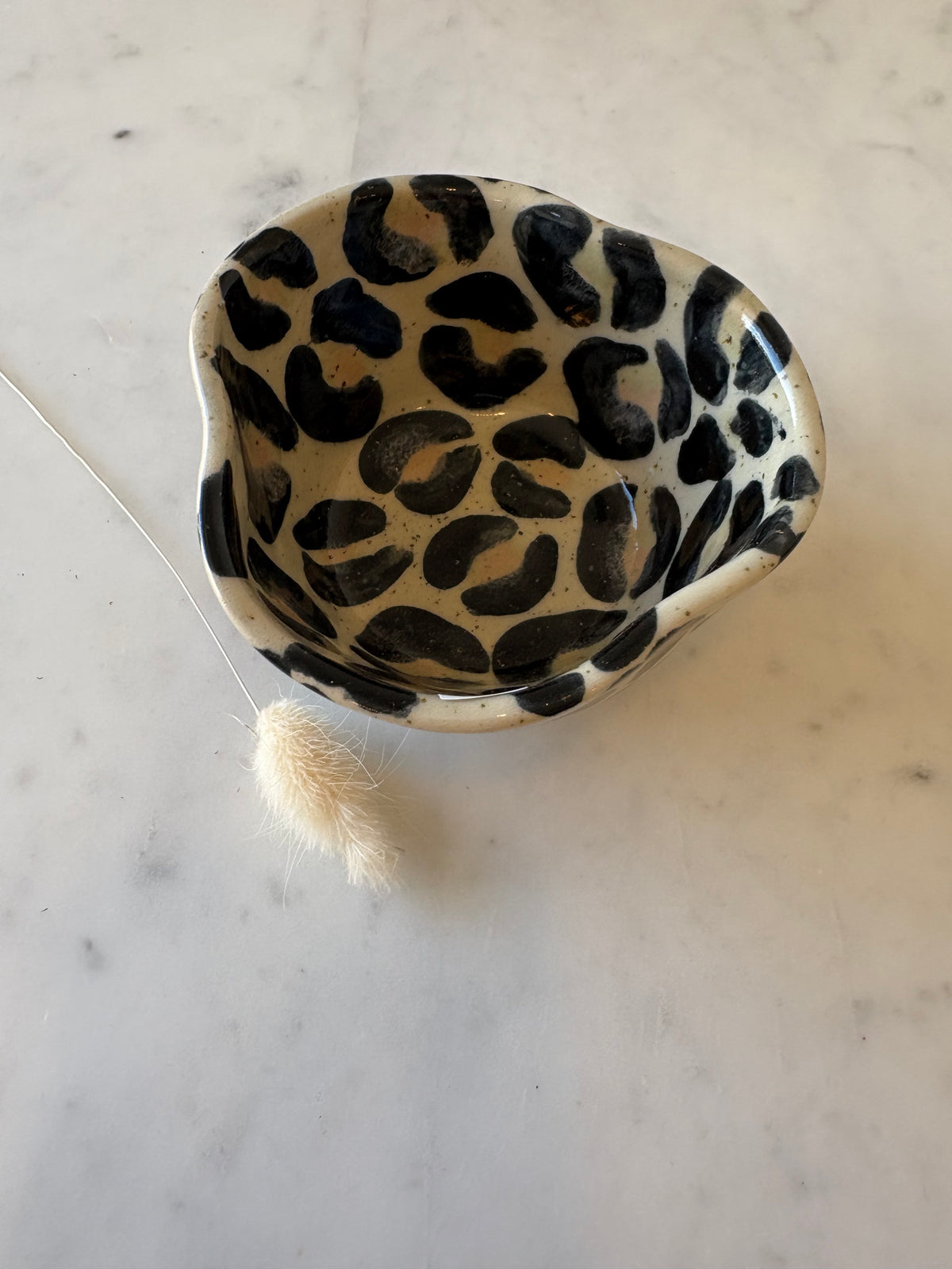 1. Lille Leopard skål🐆