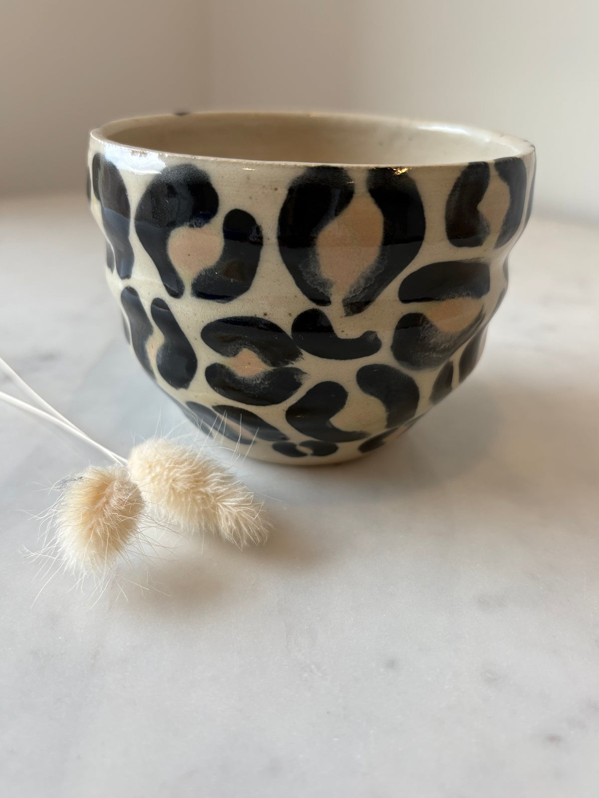 1. Leopardkop🐆 Nr 1